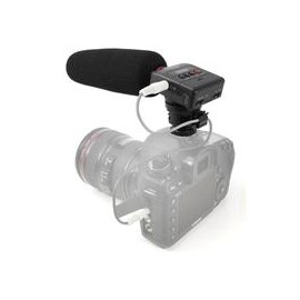 Grabadora voz portátil Tascam DR-10SG para Camara