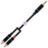 Cable Plug 3.5 Estéreo a 2 RCA XSS RH-EY001 3M Negro/3M