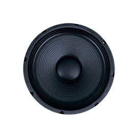 Bocina XSS PROFESSIONAL W3015 Negro/15"/800W RMS