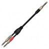 Cable para audio XSS SC138 Negro/6.3x2 Mono a 1 Plug Mono
